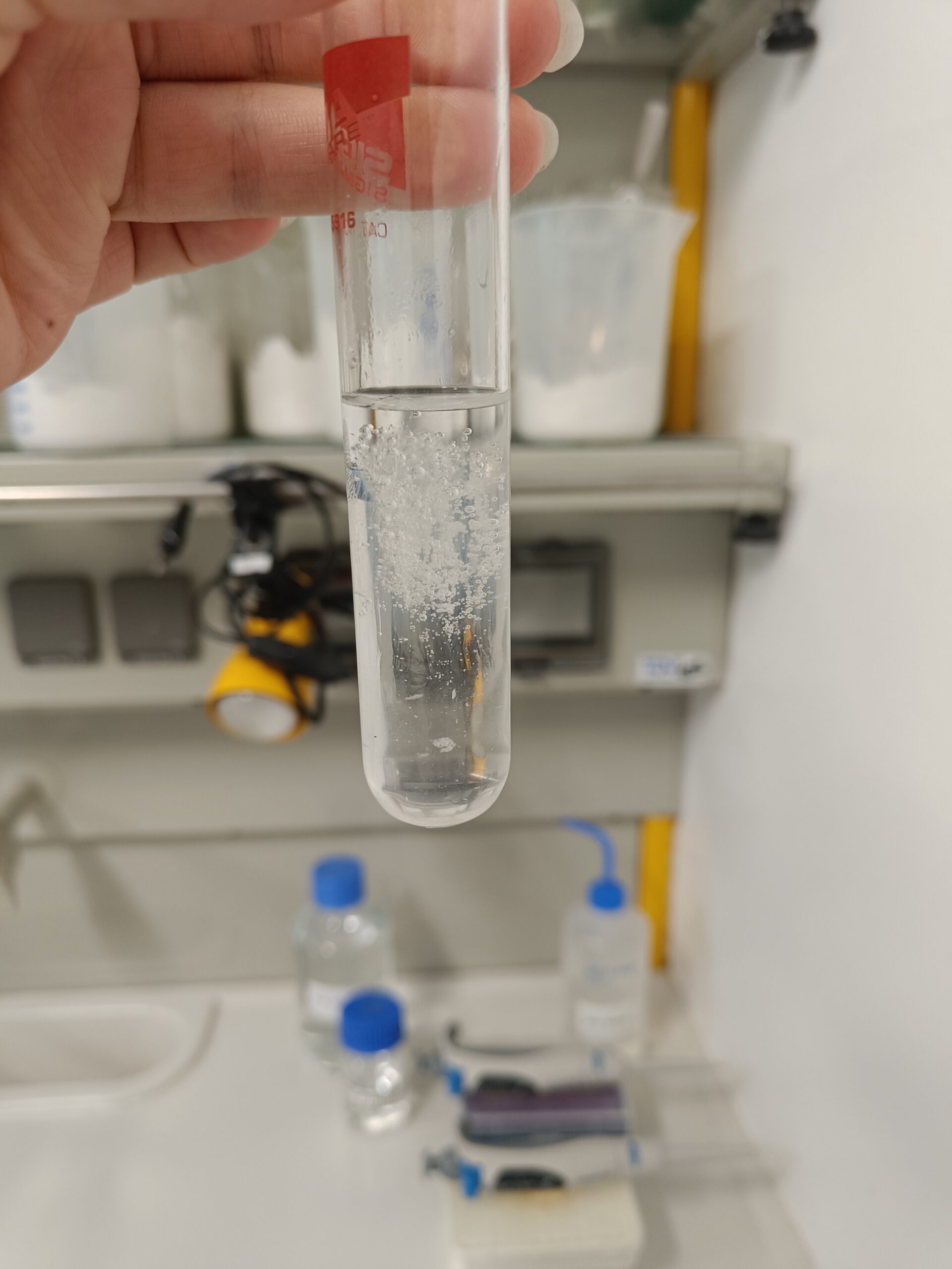 Genetik praktisch erlebt – Unterricht im IPK Gatersleben